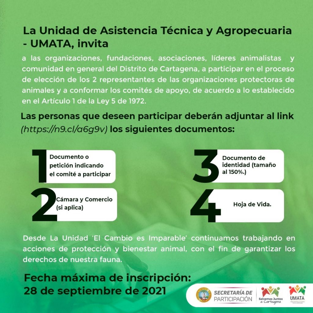 Organizaciones protectoras de animales deben escoger representantes por convocatoria de la UMATA