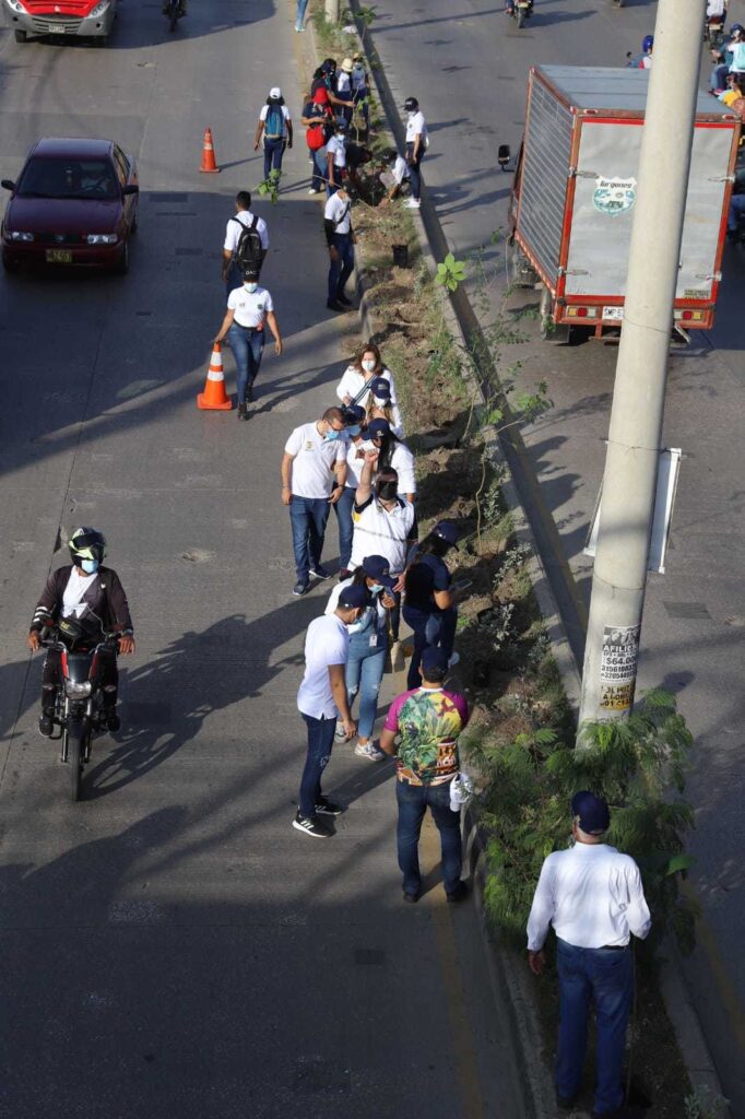 Gobernación de Bolívar se unió a la campaña Siembra Vida con campaña de arborización