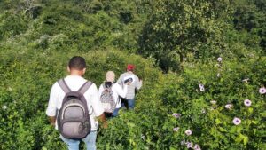 Unidad de Restitución de Tierras Dirección Territorial Bolívar y Sucre