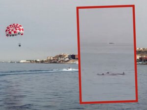 Un turista ruso murió tras un ataque de tiburón cuando tomaba baño en en la playa