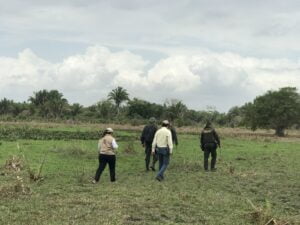 Restitución de tierras 