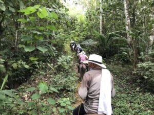 Fallo ordena a empresa del grupo Argos devolver 490 hectáreas a víctimas de despojo en San Onofre, Sucre