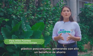 Más de 70 familias en Cartagena le están apostando  al reciclaje desde casa con EcoCuadras
