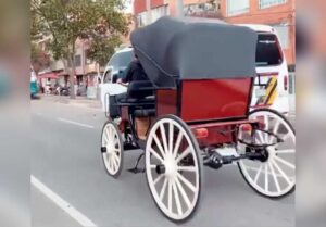 "La sustitución de caballos es una prioridad y un proyecto pensado como exitoso en cualquier ámbito" Alcalde Turbay Paz