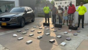 Narco gallos y gallinas viajaban a Panamá con 27 kilos de cocaína de alta pureza condes tino a Panamá