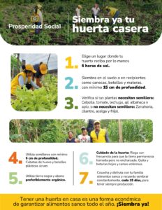 Para acabar el hambre en Mahates, Prosperidad Social entrega insumos y herramientas para beneficiar a 4.800 habitantes