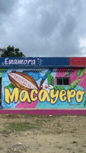 MACAYEPO SE VISTE DE COLOR: ARTE Y MEMORIA PARA TRANSFORMAR EL TERRITORIO