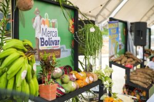 Exposiciones equinas y subastas consolidan feria como motor agropecuario regional.