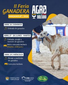 Feria Agro Bolívar 2026 impulsa empleo, innovación y desarrollo en Magangué, fortaleciendo economía regional.