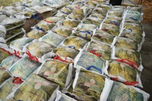 Hambre Cero entrega alimentos, esperanza y dignidad a familias vulnerables colombianas.