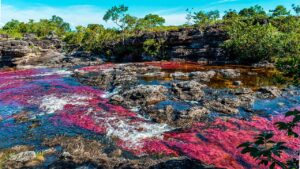 Satena conecta viajeros con Caño Cristales, maravilla natural de Colombia reconocida internacionalmente.