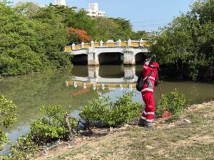 VEOLIA BARRE CON ORGULLO CARTAGENERO Y RESCATA LA CIÉNAGA DE LAS QUINTAS EN JORNADA HISTÓRICA
