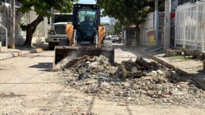 Cumplimiento de normas de basura garantiza calles limpias y seguras.