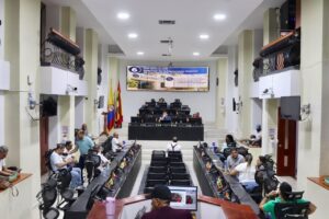 Concejales cuestionan medida energética por impacto económico sobre familias
