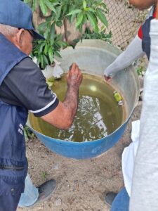 Brigadas sanitarias recorren barrios promoviendo prevención, vacunación y autocuidado contra dengue.