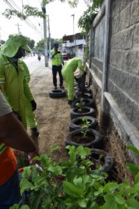 Pacaribe y comunidad sembraron plantas para embellecer espacios del sector.